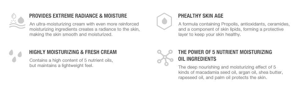 CNP LABORATORY - Propolis Ampule Oil-in-Cream - 50ml
