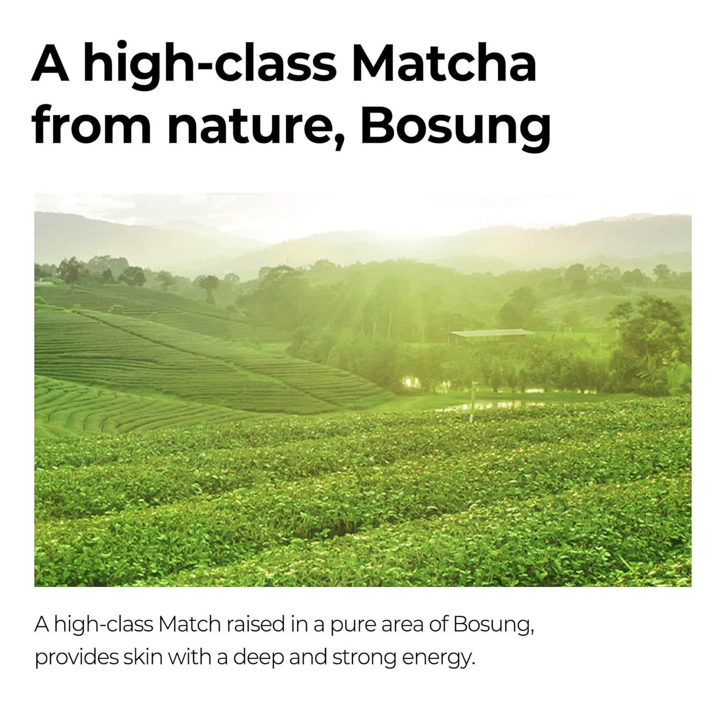 SOME BY MI - Super Matcha Pore Tightening Serum - 50ml