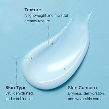 TORRIDEN - Dive In Low Molecular Hyaluronic Acid Cream - 80ml