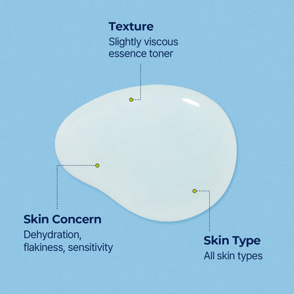 TORRIDEN - Dive In Low Molecular Hyaluronic Acid Skin Booster - 200ml