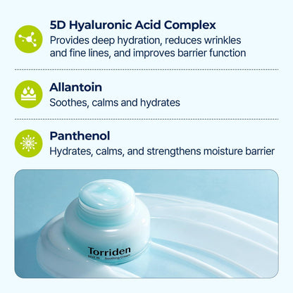 TORRIDEN - Dive In Low Molecular Hyaluronic Acid Soothing Cream - 100ml